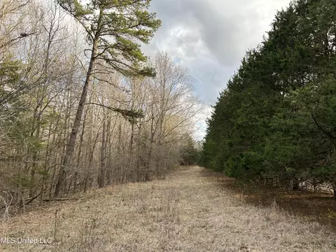 Teasdale Road, Enid, MS 38927 photo 11