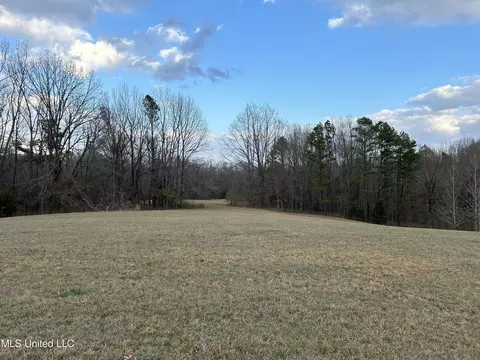 Teasdale Road, Enid, MS 38927 photo 26