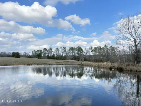 Teasdale Road, Enid, MS 38927 photo 5