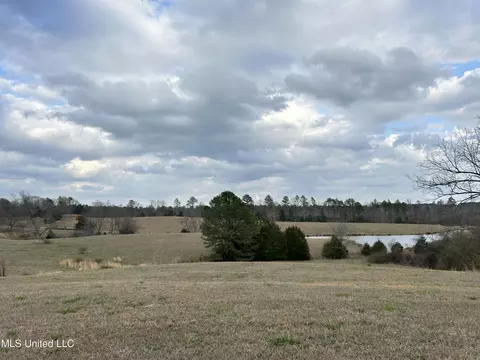 Teasdale Road, Enid, MS 38927 photo 10