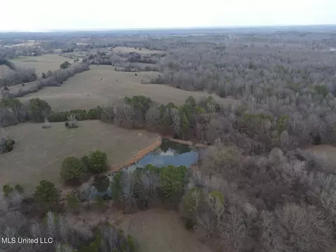 Teasdale Road, Enid, MS 38927 photo 36