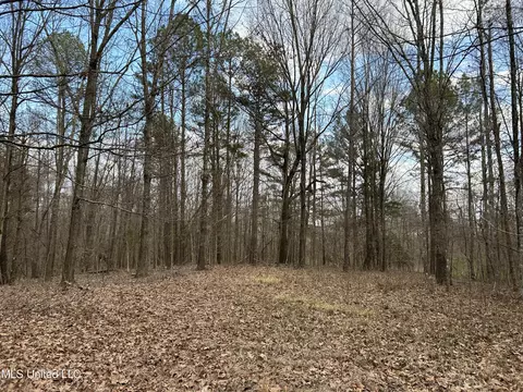 Teasdale Road, Enid, MS 38927 photo 13