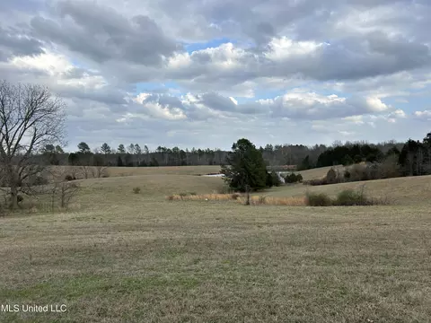 Teasdale Road, Enid, MS 38927 photo 7