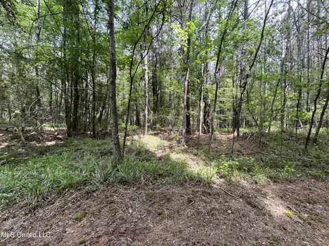 0 Lake Shore Rd, Jackson, MS 39212 photo 4