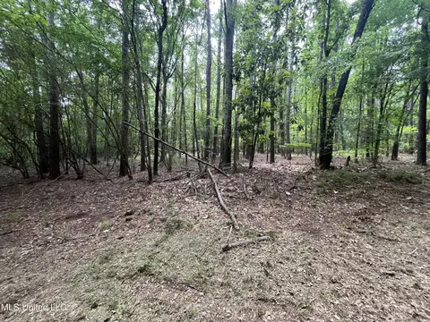 0 Lake Shore Rd, Jackson, MS 39212 photo 13