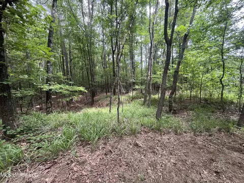 0 Lake Shore Rd, Jackson, MS 39212 photo 12