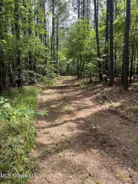 0 Lake Shore Rd, Jackson, MS 39212 photo 6