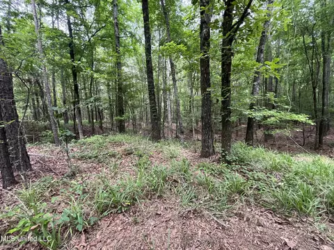 0 Lake Shore Rd, Jackson, MS 39212 photo 11