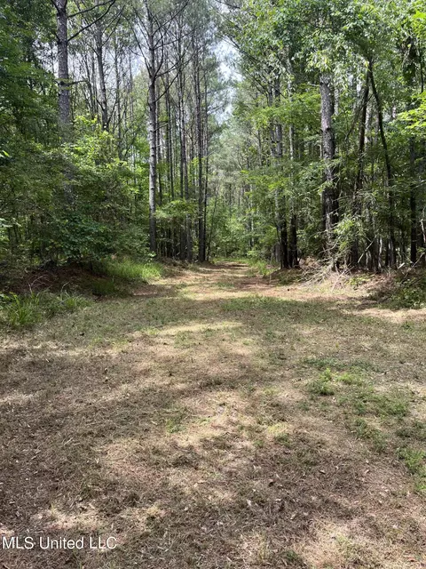 0 Lake Shore Rd, Jackson, MS 39212 photo 8