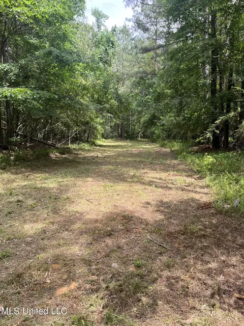 0 Lake Shore Rd, Jackson, MS 39212 photo 7