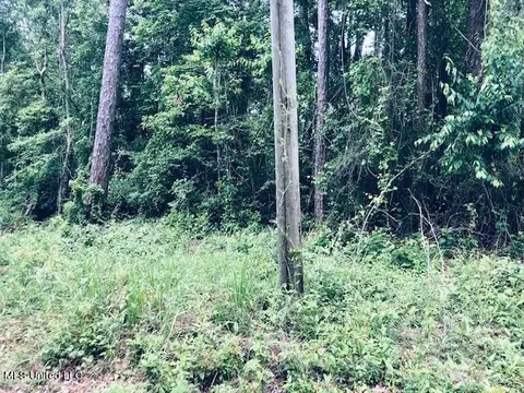 Narcissus Drive, Gautier, MS 39553