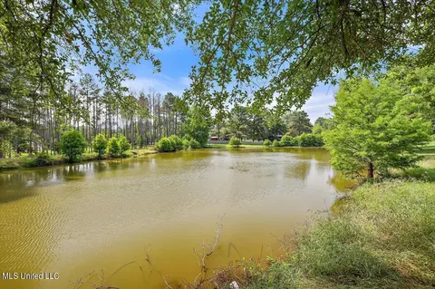 465 Hwy 49 N, Flora, MS 39071 photo 35