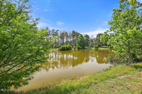 465 Hwy 49 N, Flora, MS 39071 photo 33