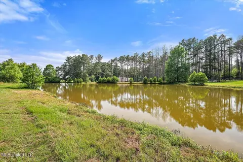 465 Hwy 49 N, Flora, MS 39071 photo 4