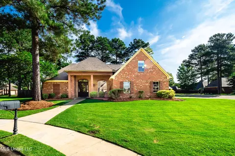 100 Dandelion Dr, Madison, MS 39110