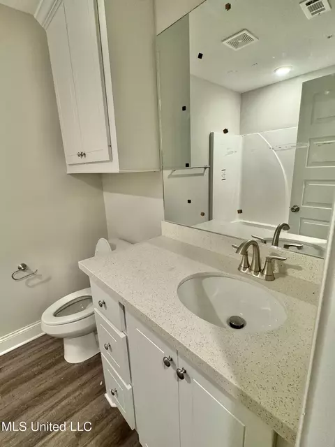 Bath - 249 Chartleigh Cir, Canton, MS 39046 photo 1 of 1