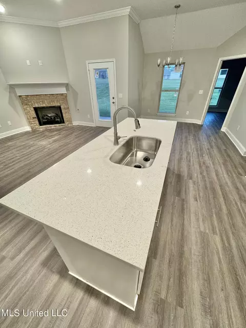 Kitchen - 249 Chartleigh Cir, Canton, MS 39046 photo 1 of 1