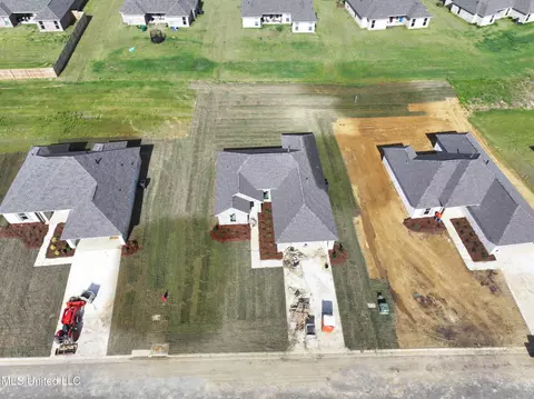 View/Area - 249 Chartleigh Cir, Canton, MS 39046 photo 1 of 1