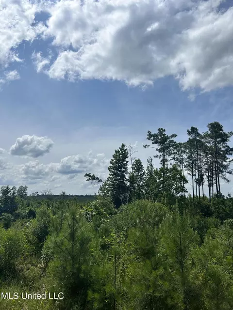 Springfield Road, Morton, MS 39117 photo 17
