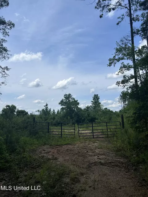 Springfield Road, Morton, MS 39117 photo 6