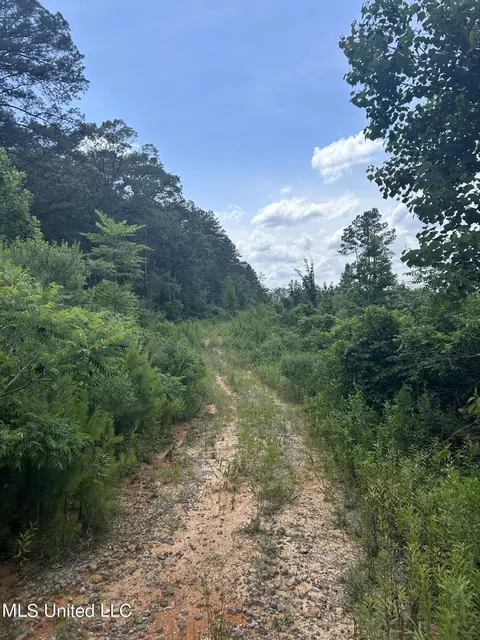 Springfield Road, Morton, MS 39117 photo 7