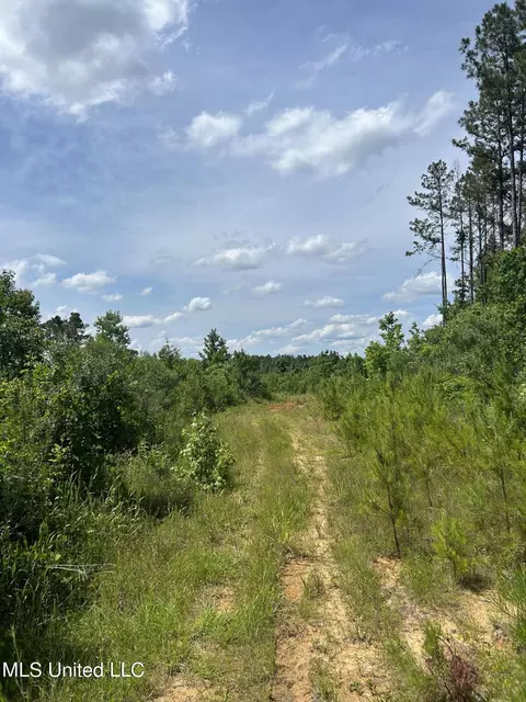 Springfield Road, Morton, MS 39117 photo 15