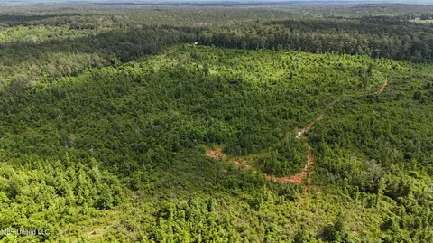 Springfield Road, Morton, MS 39117 photo 5