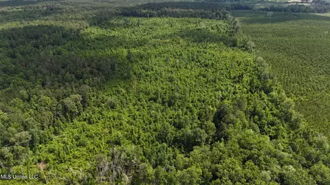 Springfield Road, Morton, MS 39117 photo 3