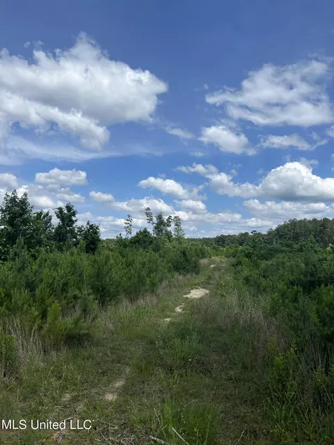 Springfield Road, Morton, MS 39117 photo 13