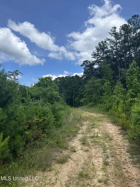 Springfield Road, Morton, MS 39117 photo 11