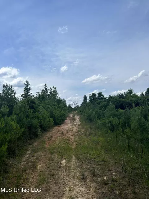Springfield Road, Morton, MS 39117 photo 10