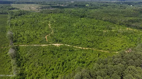Springfield Road, Morton, MS 39117 photo 2