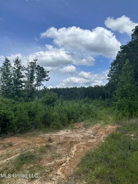Springfield Road, Morton, MS 39117 photo 9