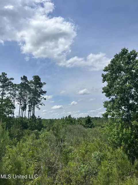 Springfield Road, Morton, MS 39117 photo 18