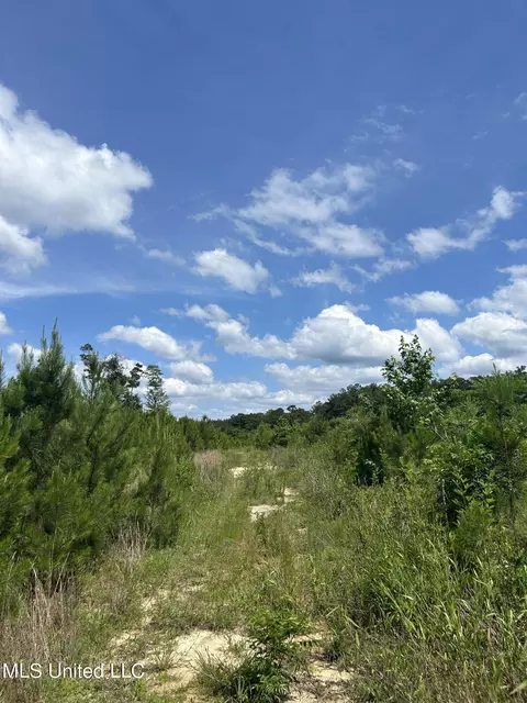 Springfield Road, Morton, MS 39117 photo 14
