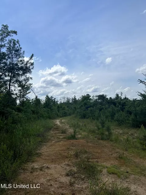 Springfield Road, Morton, MS 39117 photo 8