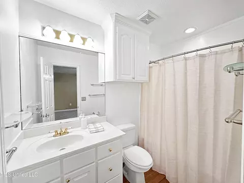 Bath - 131 Appleridge Dr, Brandon, MS 39047 photo 2 of 2