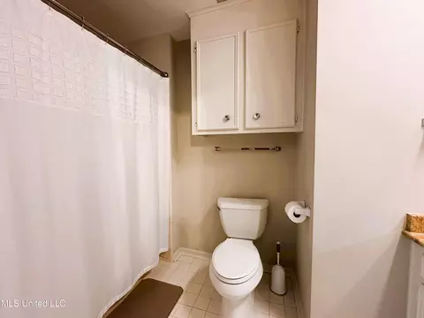 Bath - 242 Lancaster Ct, Brandon, MS 39047 photo 1 of 3