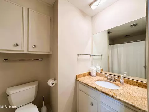 Bath - 242 Lancaster Ct, Brandon, MS 39047 photo 2 of 3