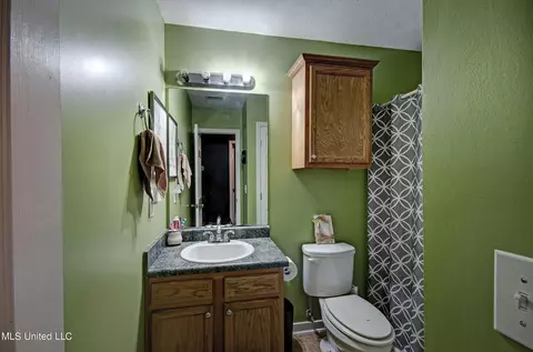 Bath - 118 Cedar Spring Cir, Pearl, MS 39208 photo 1 of 2