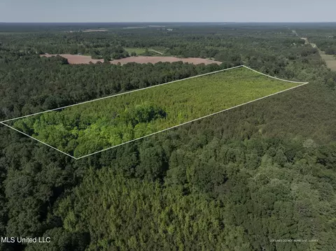 17 Acres Ridgeland Rd, Bassfield, MS 39421