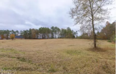 Wynndale Road, Terry, MS 39170 photo 4
