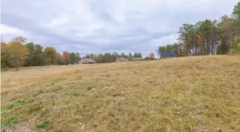 Wynndale Road, Terry, MS 39170 photo 3