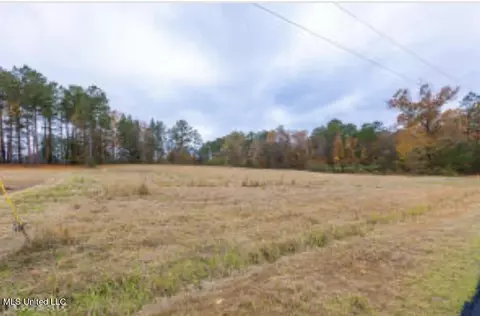 Wynndale Road, Terry, MS 39170 photo 2