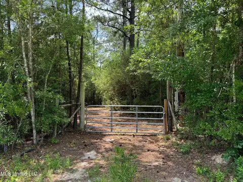 Riverline Road, Saucier, MS 39574 photo 3
