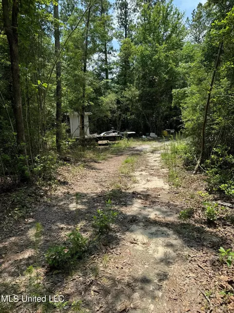 Riverline Road, Saucier, MS 39574 photo 6