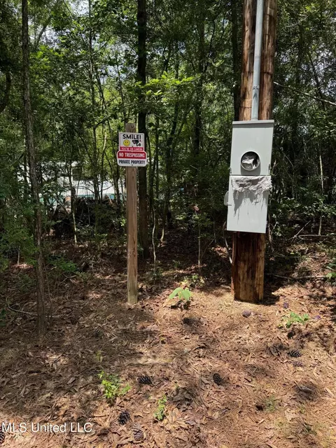 Riverline Road, Saucier, MS 39574 photo 10