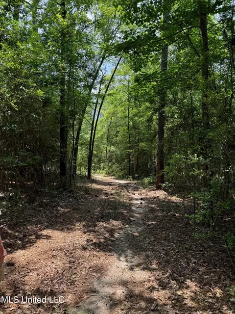 Riverline Road, Saucier, MS 39574 photo 7