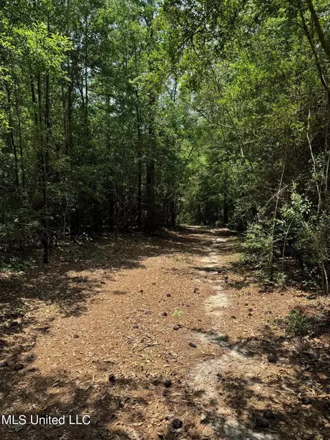 Riverline Road, Saucier, MS 39574 photo 8