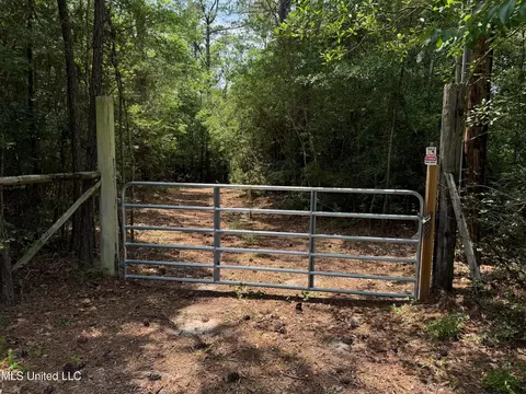 Riverline Road, Saucier, MS 39574 photo 2